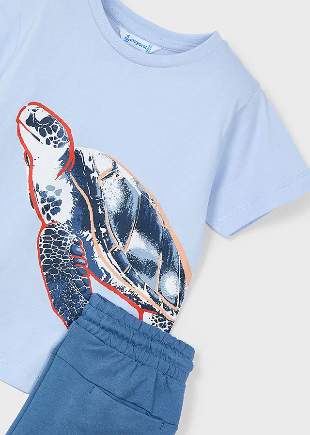 Conj. punto "turtle"