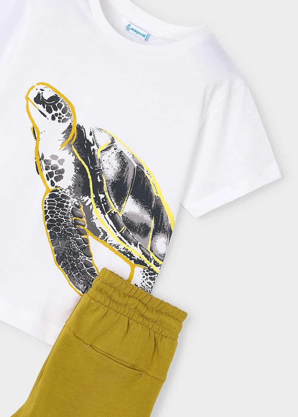 Conj. punto "turtle"