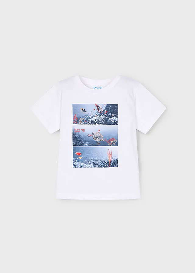 Conj. punto 2 camisetas
