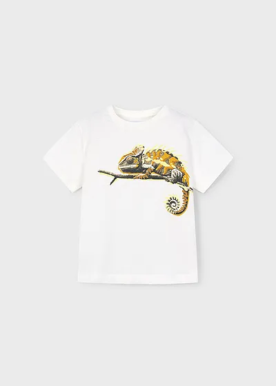Franela manga corta chameleon