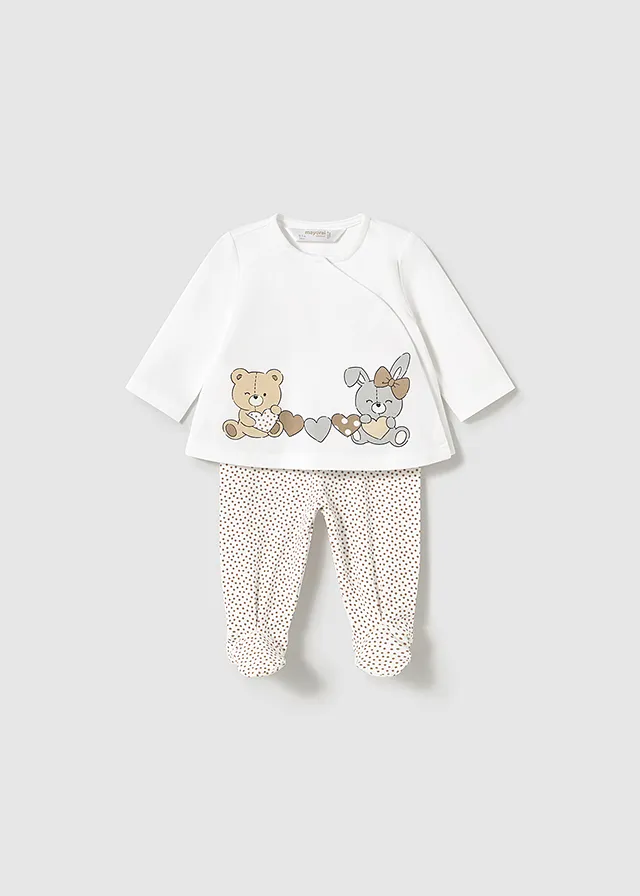 Conjunto polaina