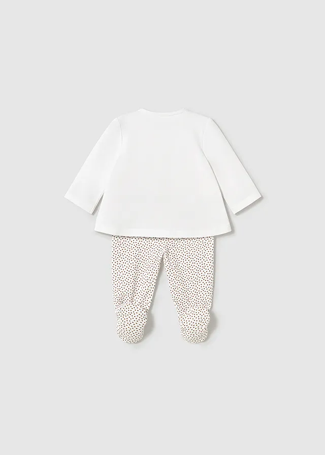 Conjunto polaina
