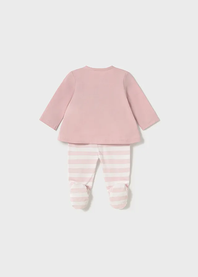 Conjunto polaina