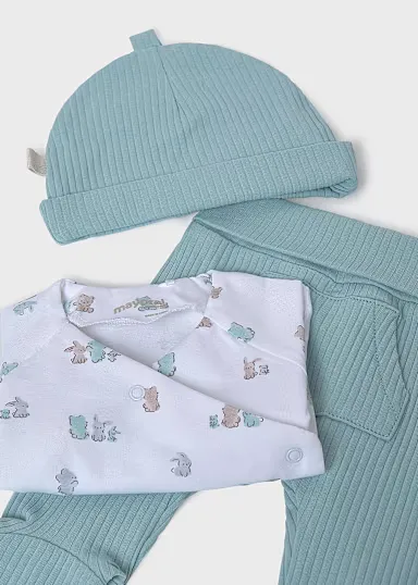 Set de regalo polaina