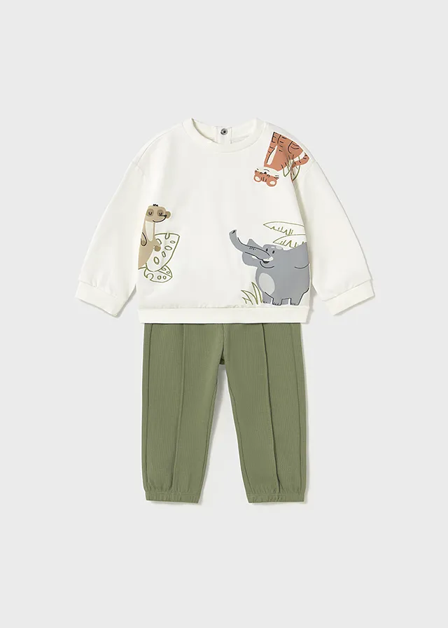 Conjunto deportivo