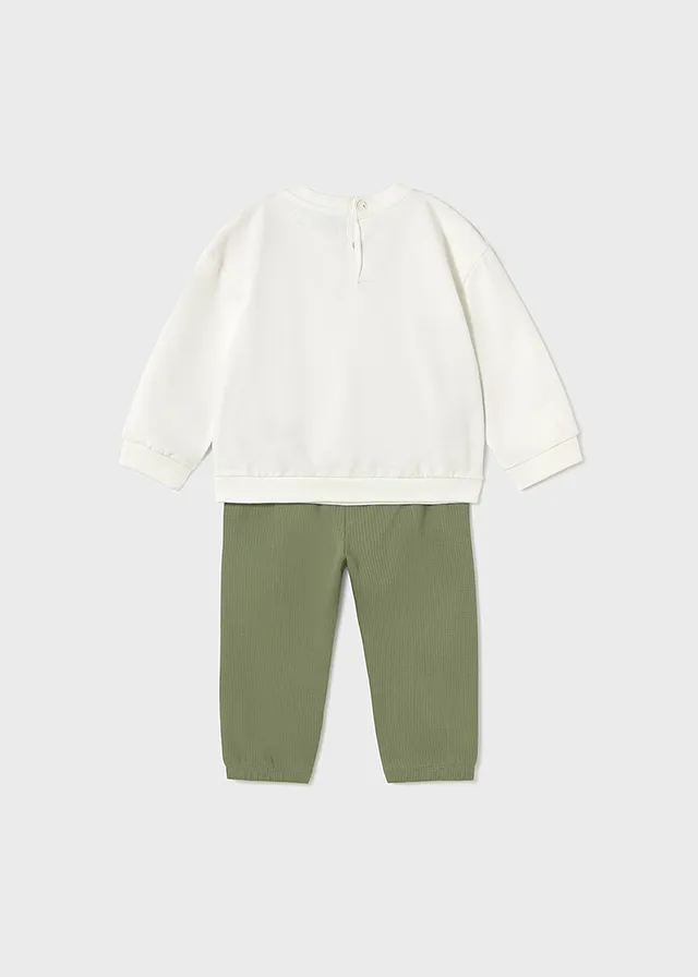 Conjunto deportivo