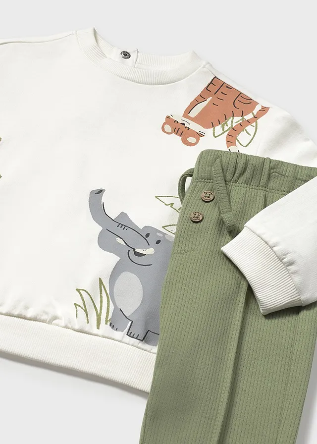 Conjunto deportivo